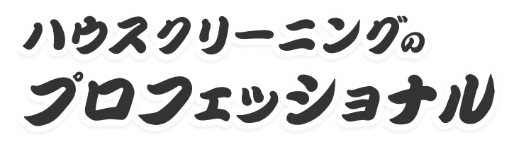 ハウスクリーニングのプロフェッショナルです